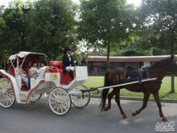 DSC00647-金庭庄园酒店彩虹厅