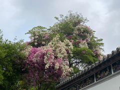 -深圳国际园林花卉博览园