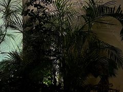 -漫笙舍Manse·咖啡·民宿