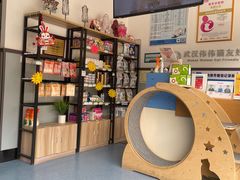 -伟伟宠物医院·瑞派猫友好医院·猫科(光谷店)