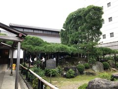 -中村藤吉(本店)
