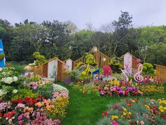 -上海共青森林公园