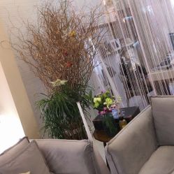 -新蝶变皮肤管理中心