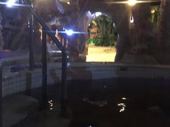 -泉城欧乐堡戏水湾艺术养生温泉