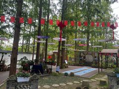 -东平国家森林公园