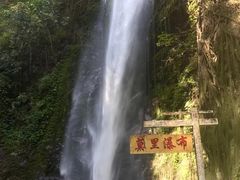 -莫里热带雨林景区