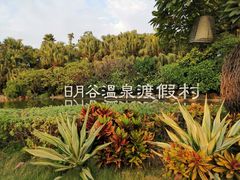 -厦门日月谷温泉渡假村