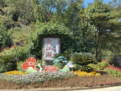 -广州白江湖森林公园