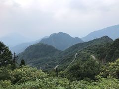 -虹口漂流