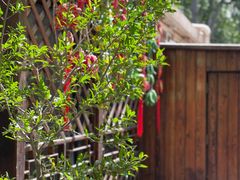 -正宗天津烧麦馆(柳州路店)