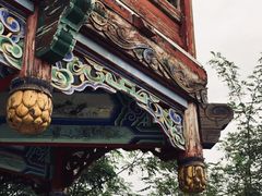 -聚龙小镇