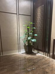 点击看大图 -诗泥SPA