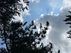 -玉渡山自然风景区