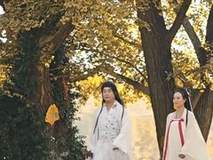 -千年银杏谷文化旅游区