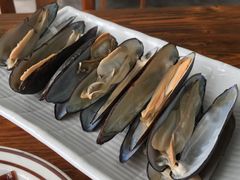 白灼西江沙锐-八仔大富楼·河鲜(西江店)