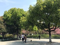 -范蠡湖公园