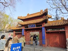-桃花堤公园