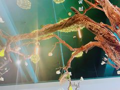 -梧桐树下(云锦世家店)