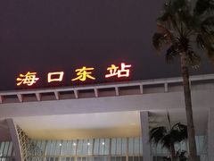 -海口东站