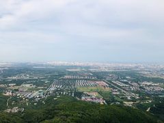 -鬼笑石后山停车场