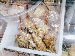 -蓬莱欧乐堡海洋极地世界