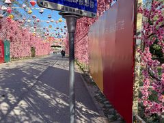 -北京凤凰岭