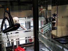 -帕帕拉兹宠物(亚洲旗舰店)