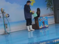 -无锡海洋馆