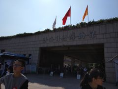 -陕西自然博物馆