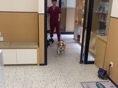 -瑞派康怡24h宠物医院·犬猫医疗中心·微创绝育(瑞景分院)