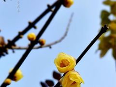 -塔子山公园