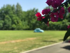 -金谷域澳洲庄园