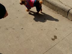 -苏果好的便利(小卫街店)