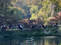 -岳麓山风景名胜区