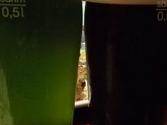 -Boxing Cat Brewery拳击猫精酿啤酒馆(永福店)