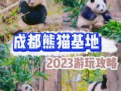 -成都大熊猫繁育研究基地