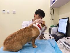 -美迦爱-牙专科·兔科·骨科诊疗中心(北苑店)