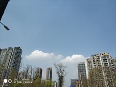 -龙头寺公园
