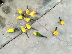 -兰陵国家农业公园