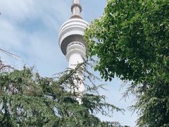 -龟山风景区-龟山电视塔