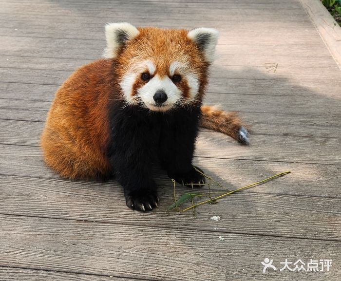 北京野生动物园图片