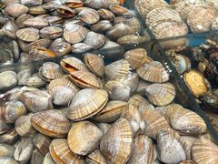 -半岛听涛蒸汽海鲜自助(K11店)