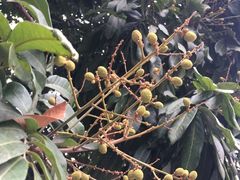 -一锅厨东北水饺店(厦大店)