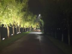 -艾溪湖湿地公园