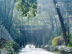 -东湖生态旅游风景区