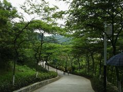 -田心森林公园