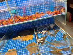 -翠林精选·洗浴·餐饮·住宿(江东大道店)