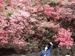 -木兰云雾山