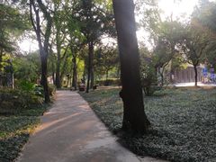 -桂林独秀峰王城景区