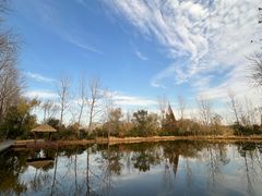 -溱湖国家湿地公园